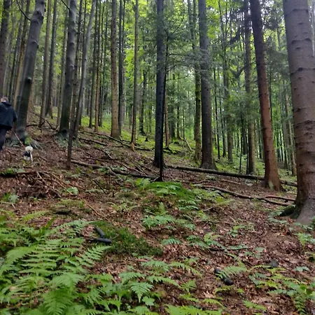 Mucharskie Stodoly Stodola I - Garden Jaszczurowa