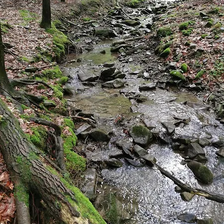 Ferienhaus Mucharskie Stodoly Stodola I - Garden *