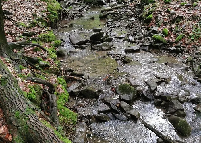 Dom wakacyjny Mucharskie Stodoły Stodoła I - Garden *